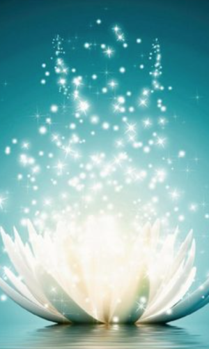 Bildschirmfoto 2023-04-17 um 00.01.55